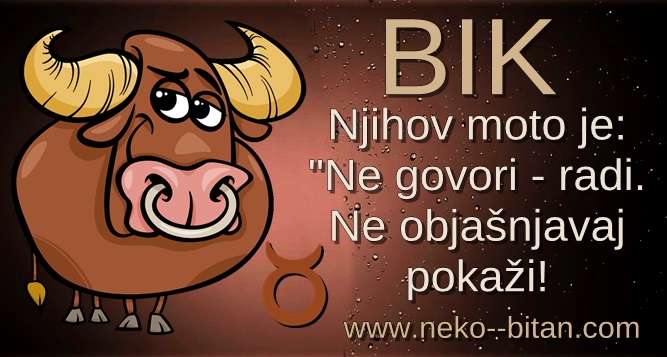 Njihov moto je: „Ne govori – radi. Ne objašnjavaj – pokaži! – 20 ŽIVOTNIH PRINCIPA kojih se pridržava svaki BIK!