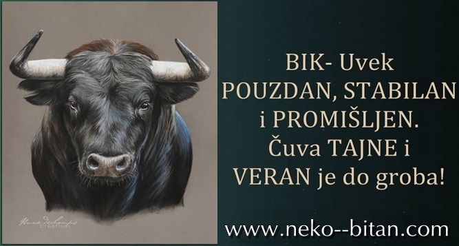 BIK- Uvek POUZDAN, STABILAN i PROMIŠLJEN. Čuva TAJNE i VERAN je do groba!