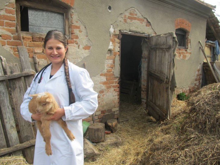 Doktorka za DOMAĆE ŽIVOTINJE: Završila je VETERINU, vratila se u svoje selo i DOBILA POSAO