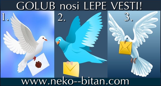 GOLUB nosi LEPE VESTI: Donosi vam SREĆU, NEŽNOST i VEČNU LJUBAV, kao NAGRADU za vašu veliku DOBROTU! Izaberite jednog goluba i pogledajte šta je VAŠA NAGRADA!