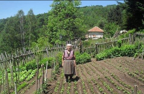 DA LI STE ZNALI DA RAD U BAŠTI LEČI OD DEPRESIJE I ČINI LJUDE SREĆNIM!