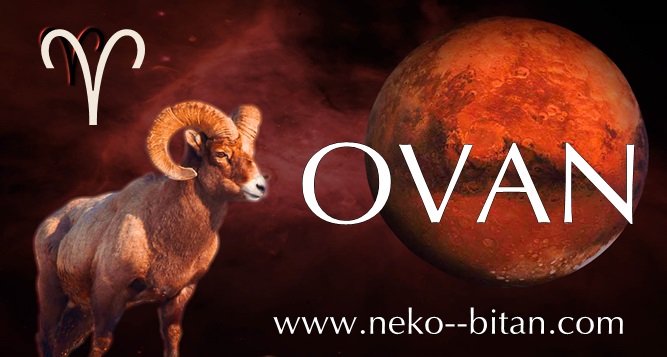 OVAN – NEZAVISTAN i JAK, uvek će biti tvoje RAME za PLAKANJE, savršen je PRIJATELJ, morate ga IMATI kraj sebe! OVAN – NEZAVISTAN i JAK, uvek će biti tvoje RAME za PLAKANJE, savršen je PRIJATELJ, morate ga IMATI kraj sebe!