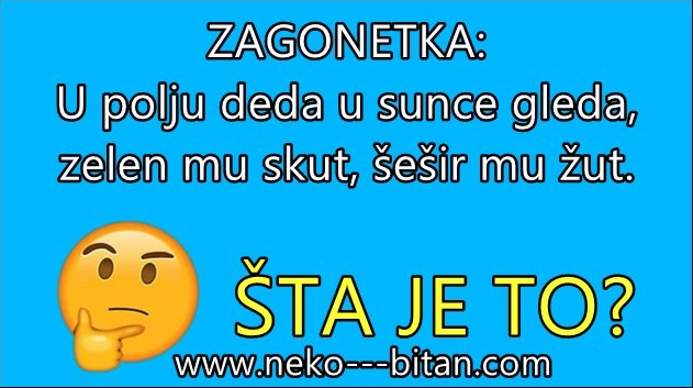 Pred vama je ZAGONETKA, koju 15% ODRASLIH LJUDI zna da REŠI. Da li ste i vi među njima? POKUŠAJTE!