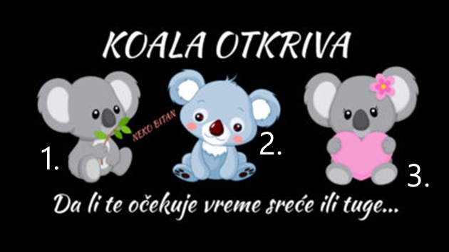 KOALA OTKRIVA… Šta Vas očekuje u skorijoj budućnosti, da li vreme sreće ili tuge? Izaberi jednu koalu i saznaj!