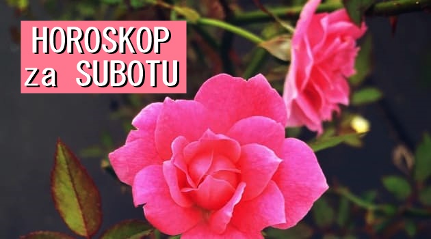 HOROSKOP za SUBOTU 14. novembar 2020. godine: Bikovi puni SAMOPOUZDANJA, Lavovi nespremni za VEZU, Škorpije će imati AVANTURU!