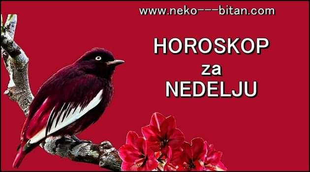 HOROSKOP za NEDELJU 07. februar 2021. godine: Bik ulazi u NOVU VEZU, Blizanci NEMAJU POVERENJA, Jarac ima NAPET DAN!