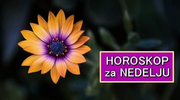 HOROSKOP za NEDELJU 21. februar 2021. godine: Blizanci se ZALJUBLJUJU, Vaga na meti UDVARAČA, Jarac se oseća DOBRO!