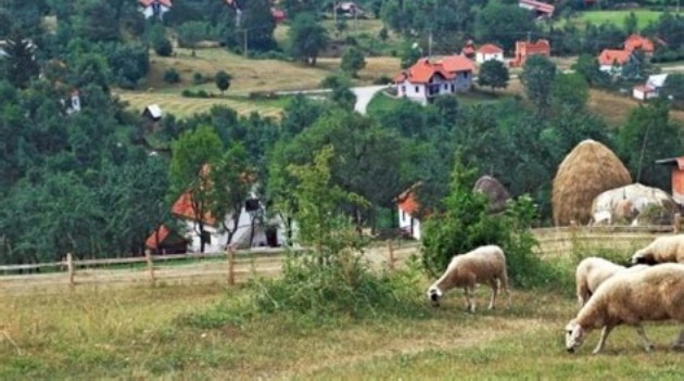 Sedam razloga za ŽIVOT NA SELU!