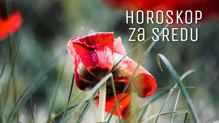 HOROSKOP za SREDU 07. jul 2021. godine: Rak mora biti ISKRENIJI, Lavovima EGO stvara PROBLEME, Devici se SVIĐA neko STARIJI!