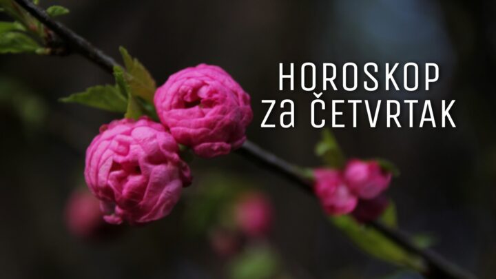 HOROSKOP za ČETVRTAK 8. jul 2021. godine: Usamljene Vage čeka LJUBAV, Škorpiji se ostvaruju ŽELJE, Strelce čeka POMIRENJE!