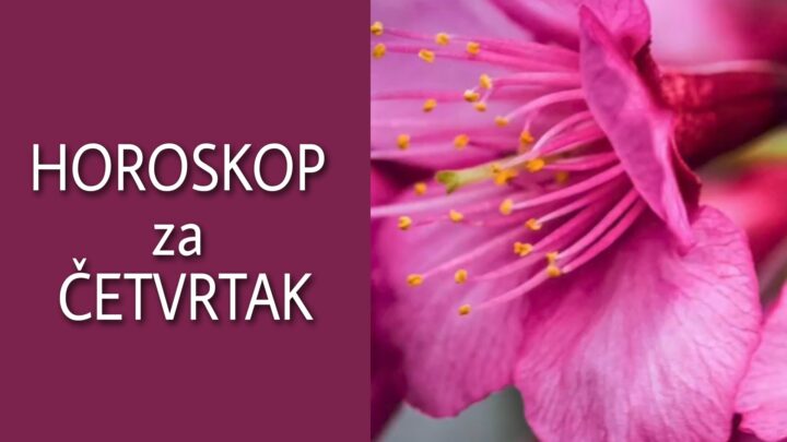 HOROSKOP za ČETVRTAK 26. avgust 2021. godine: Rak započinje NOVI POSAO, Lav osvaja SIMPATIJU, Devica se plaši NEUSPEHA U LJUBAVI!