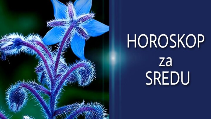 HOROSKOP za SREDU 25. avgust 2021. godine: Ovan je uporan u OSVAJANJU, Biku se sviđa neko STARIJI, Blizanci LJUBOMORNI!