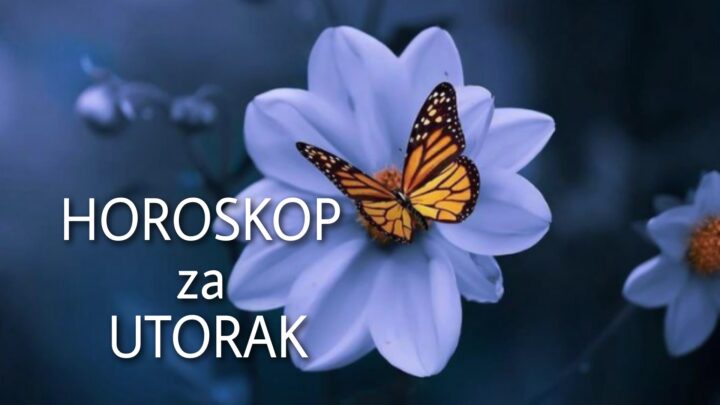 HOROSKOP za UTORAK 21. septembar 2021. godine: Rak ima NESUGLASICE na poslu, Lav smiruje NERVOZNOG PARTNERA, Devica danas BRINE O DECI!