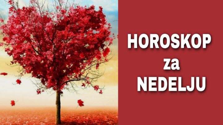 HOROSKOP za NEDELJU 12. decembar 2021. godine: Blizance očekuju NEVOLJE NA POSLU, Lava ZANIMLJIVO POZNANSTVO, Vodolije muči ZDRAVLJE!